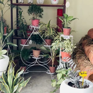 flower stand