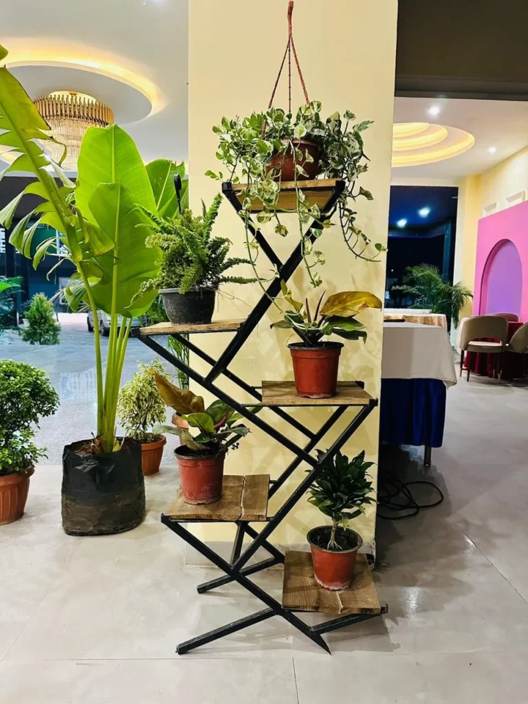 z flower stand