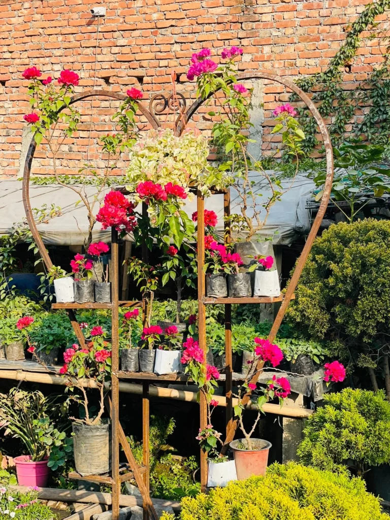 flower stands
