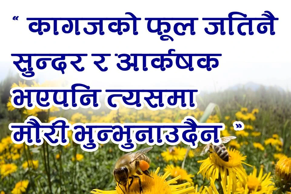 quote by Madhav Ghimire