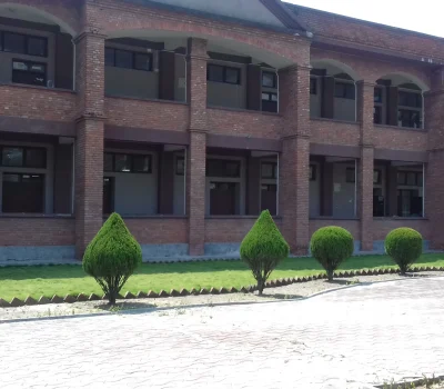 Dhupi and carpet grass at purwanchal university