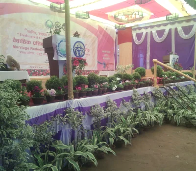 stage decoration